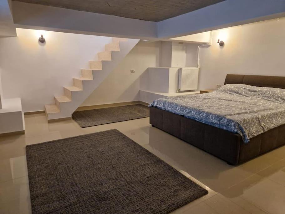 Appartement Danube Double à Brăila Extérieur photo