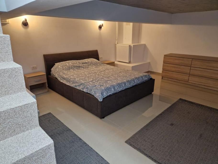 Appartement Danube Double à Brăila Extérieur photo